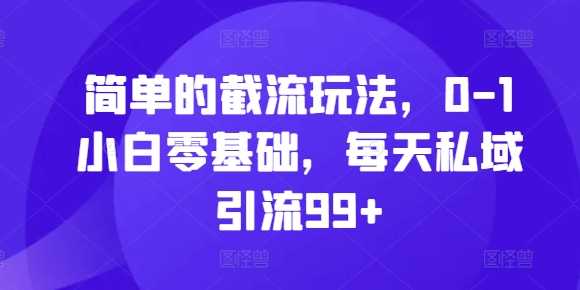 简单的截流玩法，0-1小白零基础，每天私域引流99+【揭秘】-丛零网创