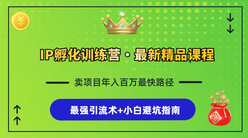 IP孵化训练营，知识付费全流程+最强引流术+小白避坑指南-丛零网创