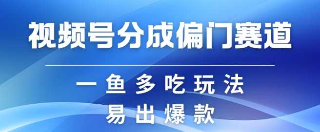 视频号创作者分成计划偏门类目，容易爆流，实拍内容简单易做【揭秘】-丛零网创