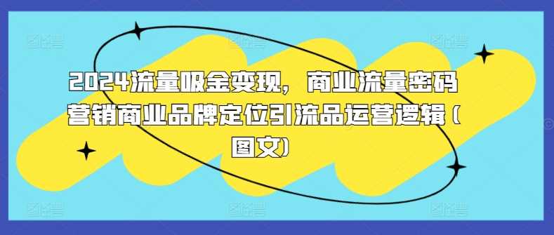 2024流量吸金变现，商业流量密码营销商业品牌定位引流品运营逻辑(图文)-丛零网创