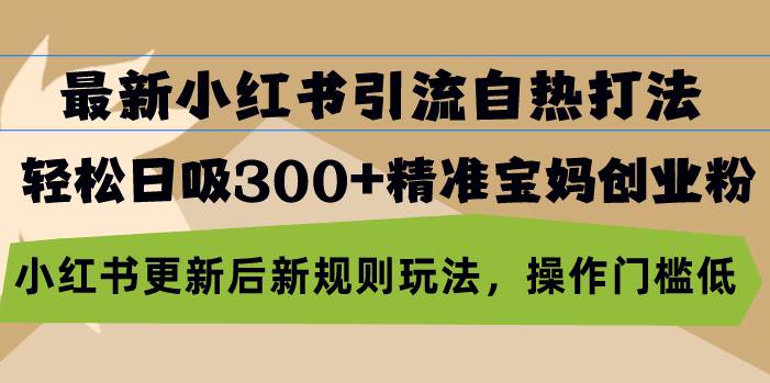 最新小红书引流自热打法，轻松日吸300+精准宝妈创业粉，小红书更新后新…-丛零网创