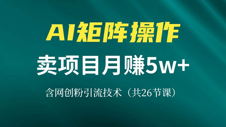 网创IP打造课，借助AI卖项目月赚5万+，含引流技术（共26节课）-丛零网创