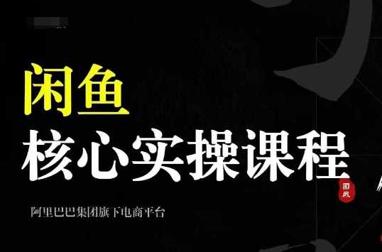 2024闲鱼核心实操课程，从养号、选品、发布、销售，教你做一个出单的闲鱼号-丛零网创