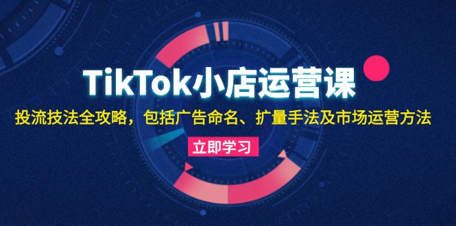 TikTok小店运营课：投流技法全攻略，包括广告命名 扩量手法及市场运营方法-丛零网创