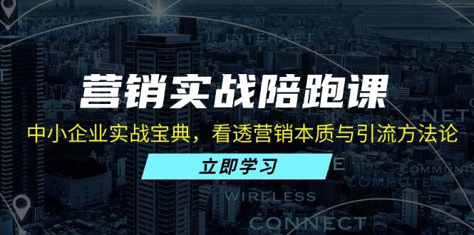 营销实战陪跑课：中小企业实战宝典，看透营销本质与引流方法论-丛零网创