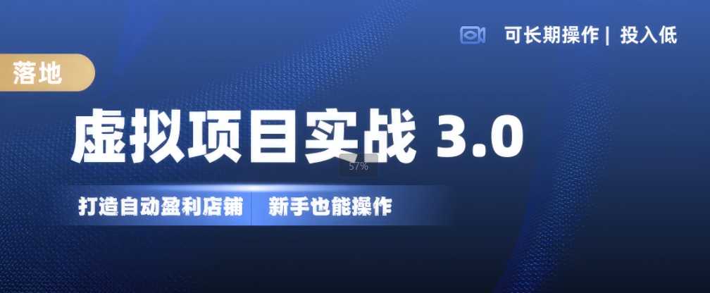 虚拟项目实战3.0，打造自动盈利店铺，可长期操作投入低，新手也能操作-丛零网创