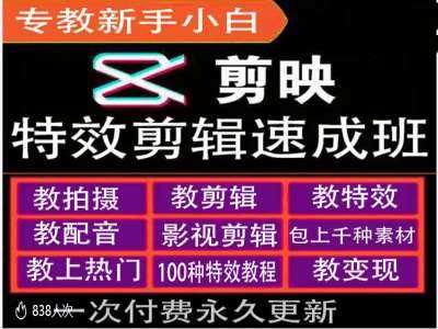 剪映特效教程和运营变现教程，特效剪辑速成班，专教新手小白-丛零网创