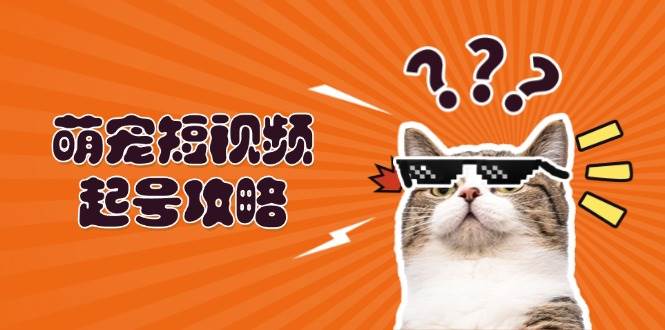 萌宠短视频起号攻略：定位搭建推流全解析，助力新手轻松打造爆款-丛零网创