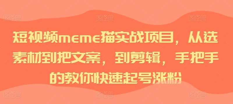 短视频meme猫实战项目，从选素材到把文案，到剪辑，手把手的教你快速起号涨粉-丛零网创