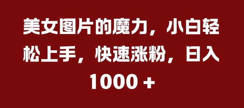 美女图片的魔力，小白轻松上手，快速涨粉，日入几张【揭秘】-丛零网创