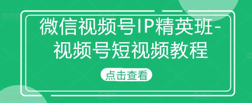 微信视频号IP精英班-视频号短视频教程-丛零网创