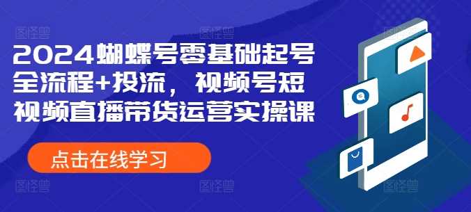 2024蝴蝶号零基础起号全流程+投流，视频号短视频直播带货运营实操课-丛零网创