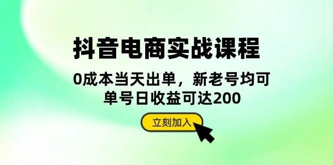 抖音 电商实战课程：从账号搭建到店铺运营，全面解析五大核心要素-丛零网创