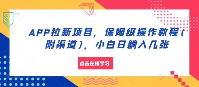 APP拉新项目，保姆级操作教程(附渠道)，小白日躺入几张【揭秘】-丛零网创