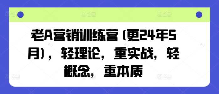 老A营销训练营(更24年10月)，轻理论，重实战，轻概念，重本质-丛零网创