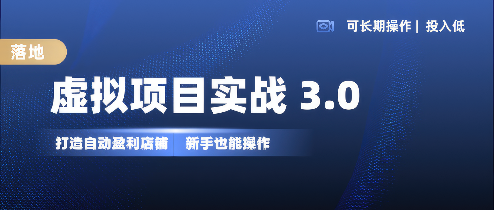 虚拟项目实操落地 3.0,新手轻松上手，单品月入1W+-丛零网创