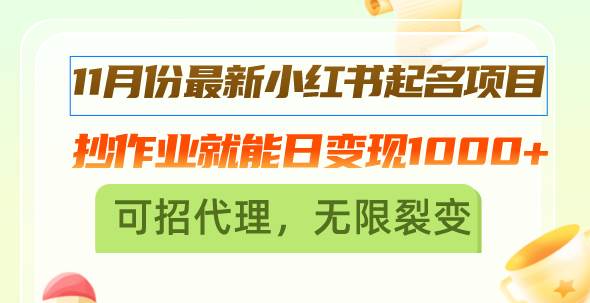 11月份最新小红书起名项目，抄作业就能日变现1000+，可招代理，无限裂变-丛零网创