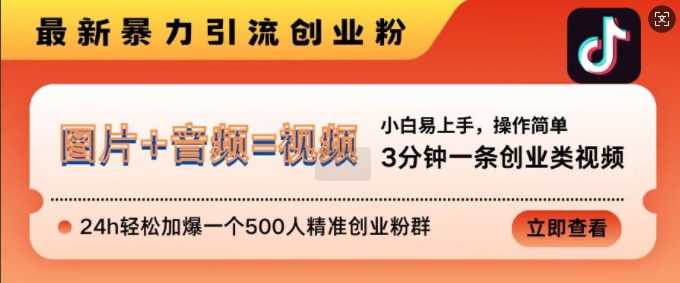 抖音最新暴力引流创业粉，3分钟一条创业类视频，24h轻松加爆一个500人精准创业粉群【揭秘】-丛零网创