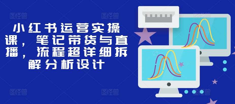 小红书运营实操课，笔记带货与直播，流程超详细拆解分析设计-丛零网创