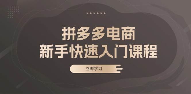 拼多多电商新手快速入门课程：涵盖基础、实战与选款，助力小白轻松上手-丛零网创