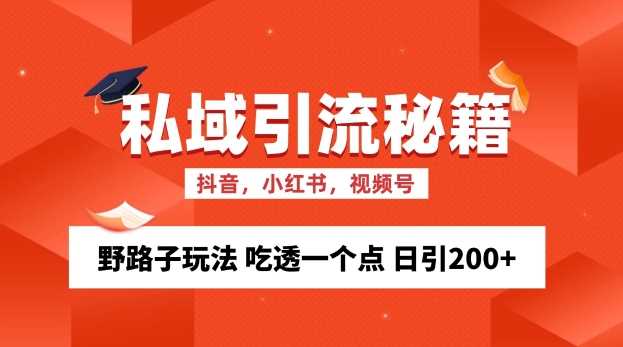 私域流量的精准化获客方法 野路子玩法 吃透一个点 日引200+ 【揭秘】-丛零网创