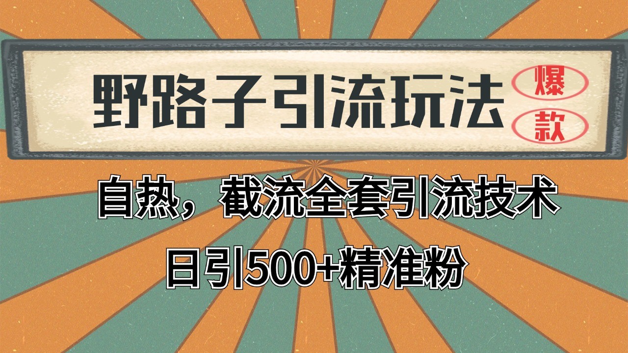 抖音小红书视频号全平台引流打法，全自动引流日引2000+精准客户-丛零网创