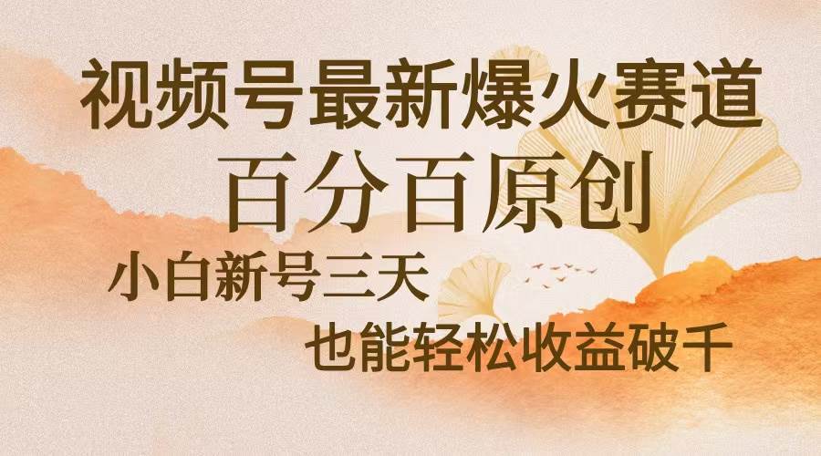 视频号最新爆火赛道，中老年粉深信不疑，百分百原创，新号三天收益轻松…-丛零网创