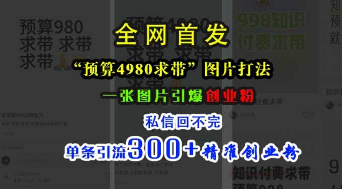 小红书“预算4980带我飞”图片打法，一张图片引爆创业粉，私信回不完，单条引流300+精准创业粉-丛零网创