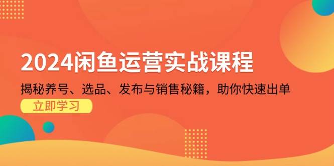 2024闲鱼运营实战课程：揭秘养号、选品、发布与销售秘籍，助你快速出单-丛零网创