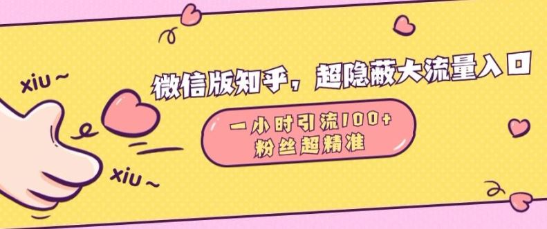 微信版知乎，超隐蔽流量入口1小时引流100人，粉丝质量超高【揭秘】-丛零网创